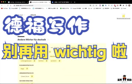 【德福/DSH/Telc写作】别再用wichtig啦!来看看它的同义词替代吧 | 狂背德语单词系列哔哩哔哩bilibili