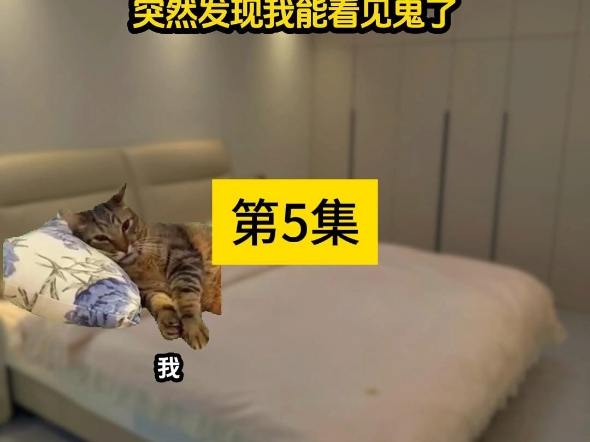 《织梦多多》第5集#猫meme #猫meme小剧场 #猫meme故事哔哩哔哩bilibili