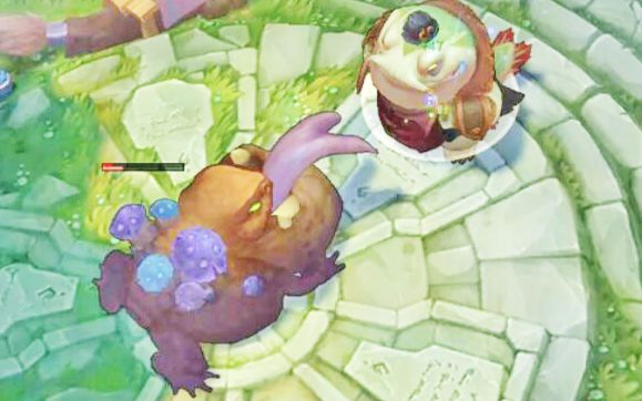 lol训练模式,把魔沼青蛙带回泉水会发生什么?