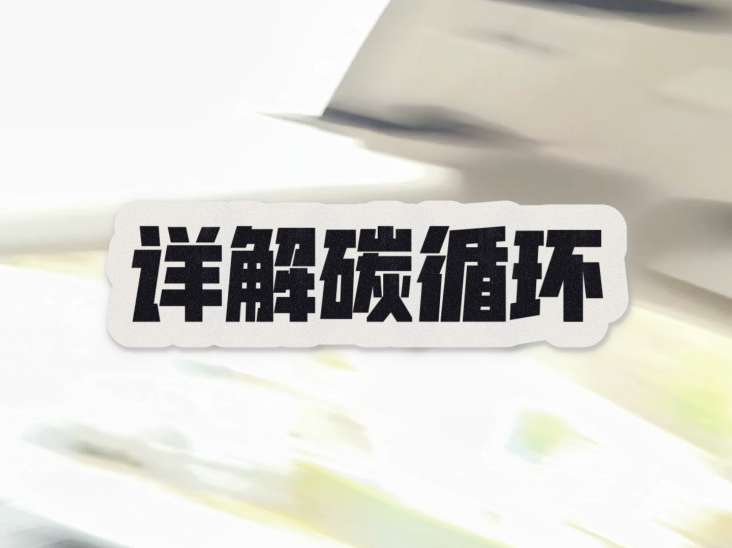 详解碳循环哔哩哔哩bilibili