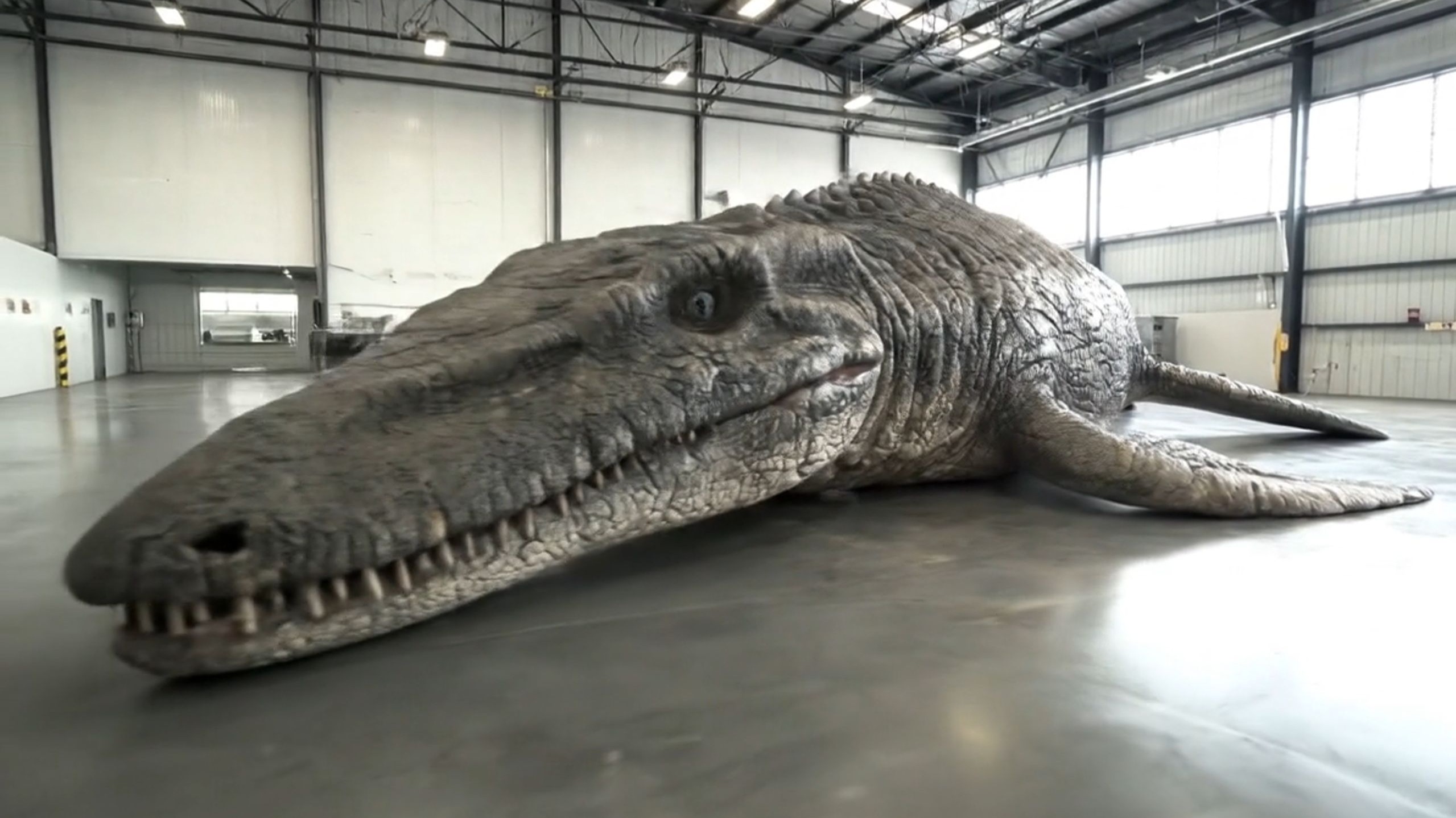 把远古沧龙做成六道菜(下)