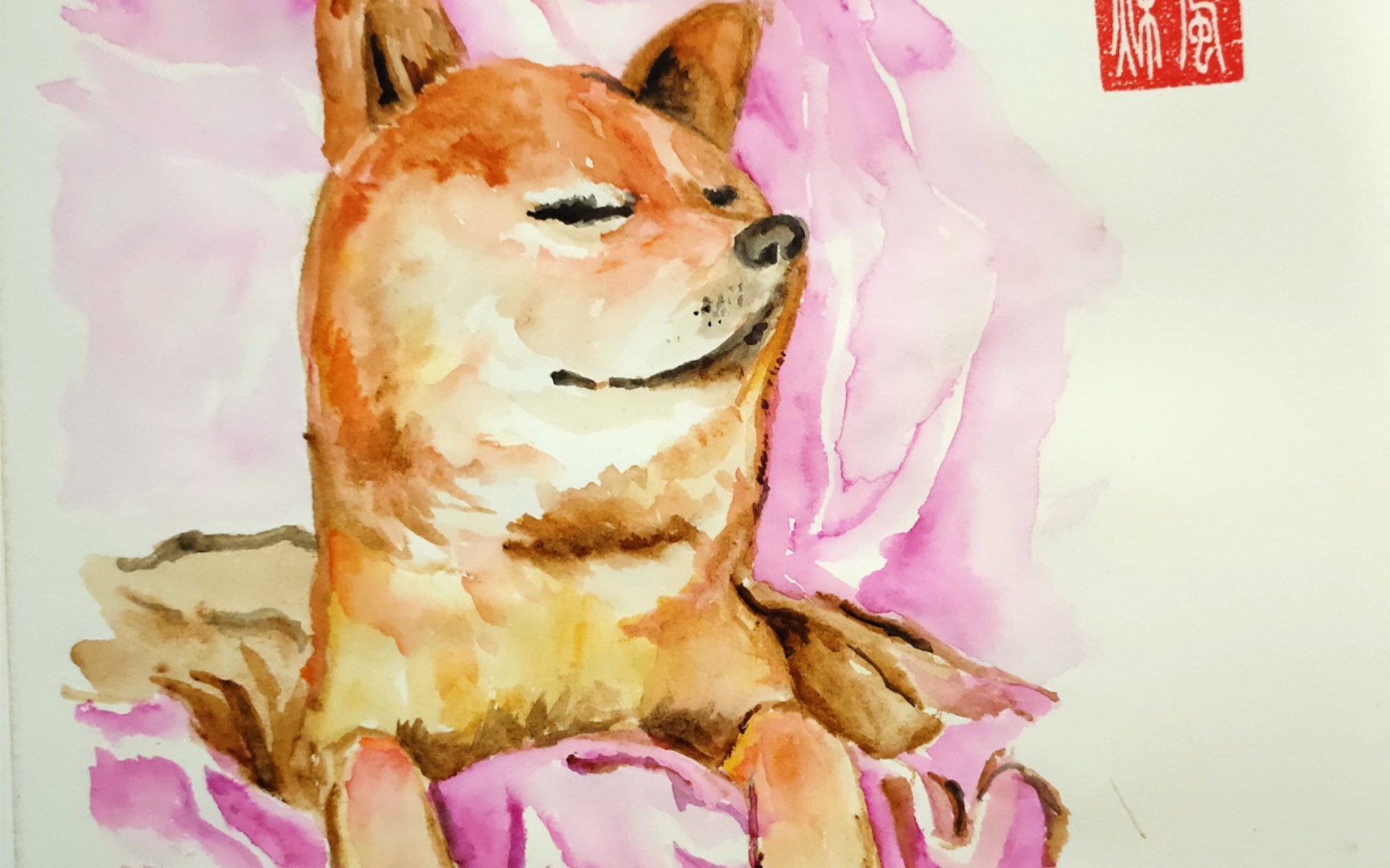 【手绘‖临摹】熟睡的柴犬72走的安详78_哔哩哔哩 (゜-゜)つロ