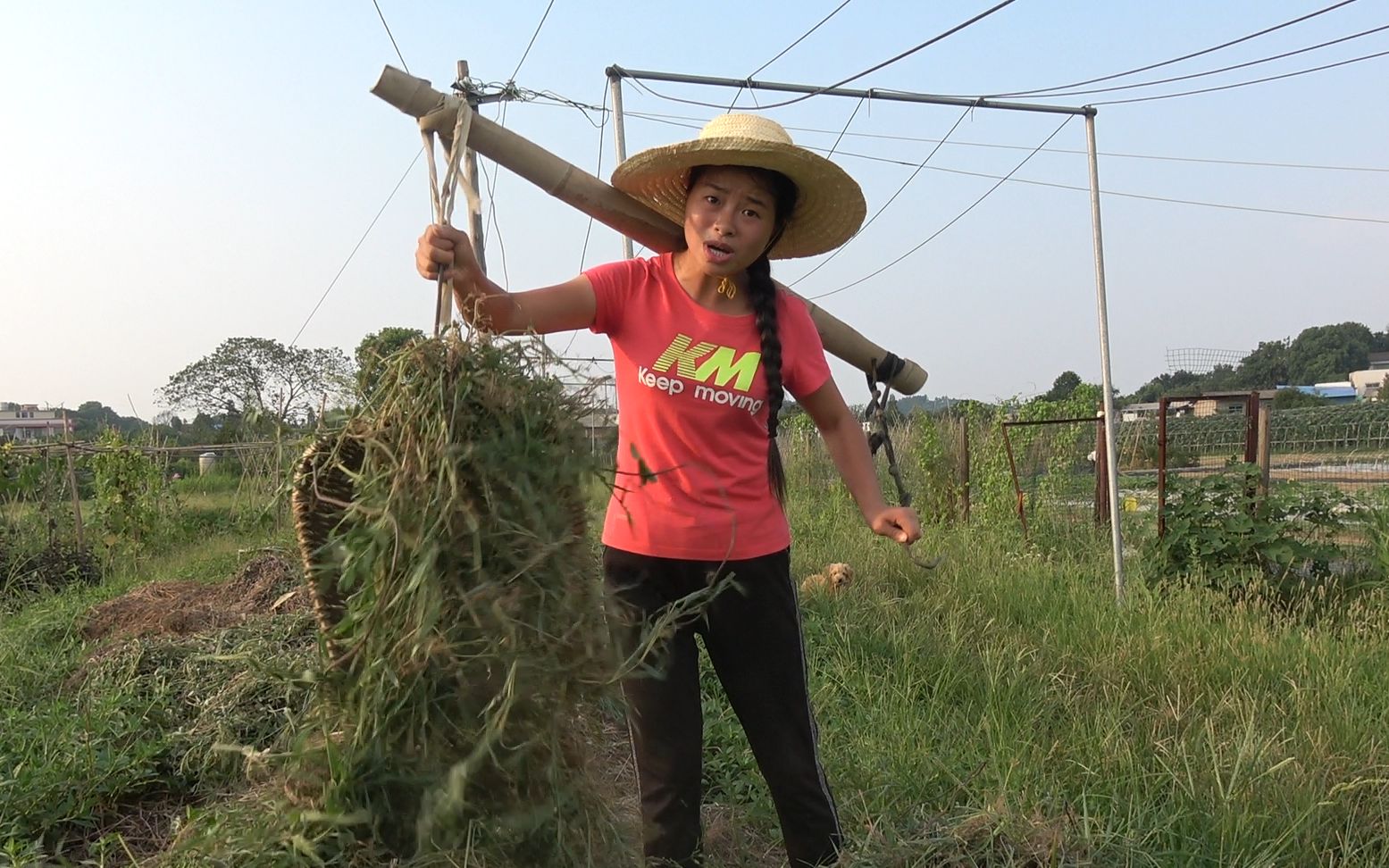 顶着高温干农活,女孩自编自唱《高温热热》,网友直呼神曲