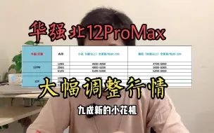 Download Video: 12ProMax大下挫，收到国行256G开箱测评，放弃13及14是对的