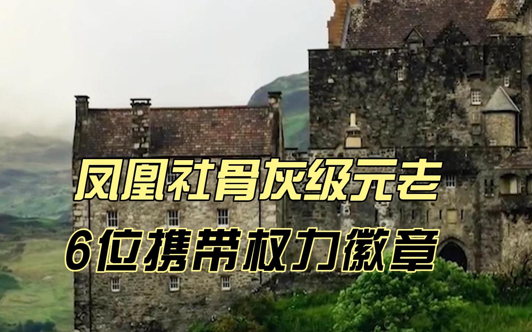 【哈利波特】盘点凤凰社成员中,拥有权利勋章的6位元老哔哩哔哩bilibili