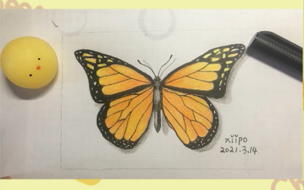 帝王蝶 彩铅蝴蝶