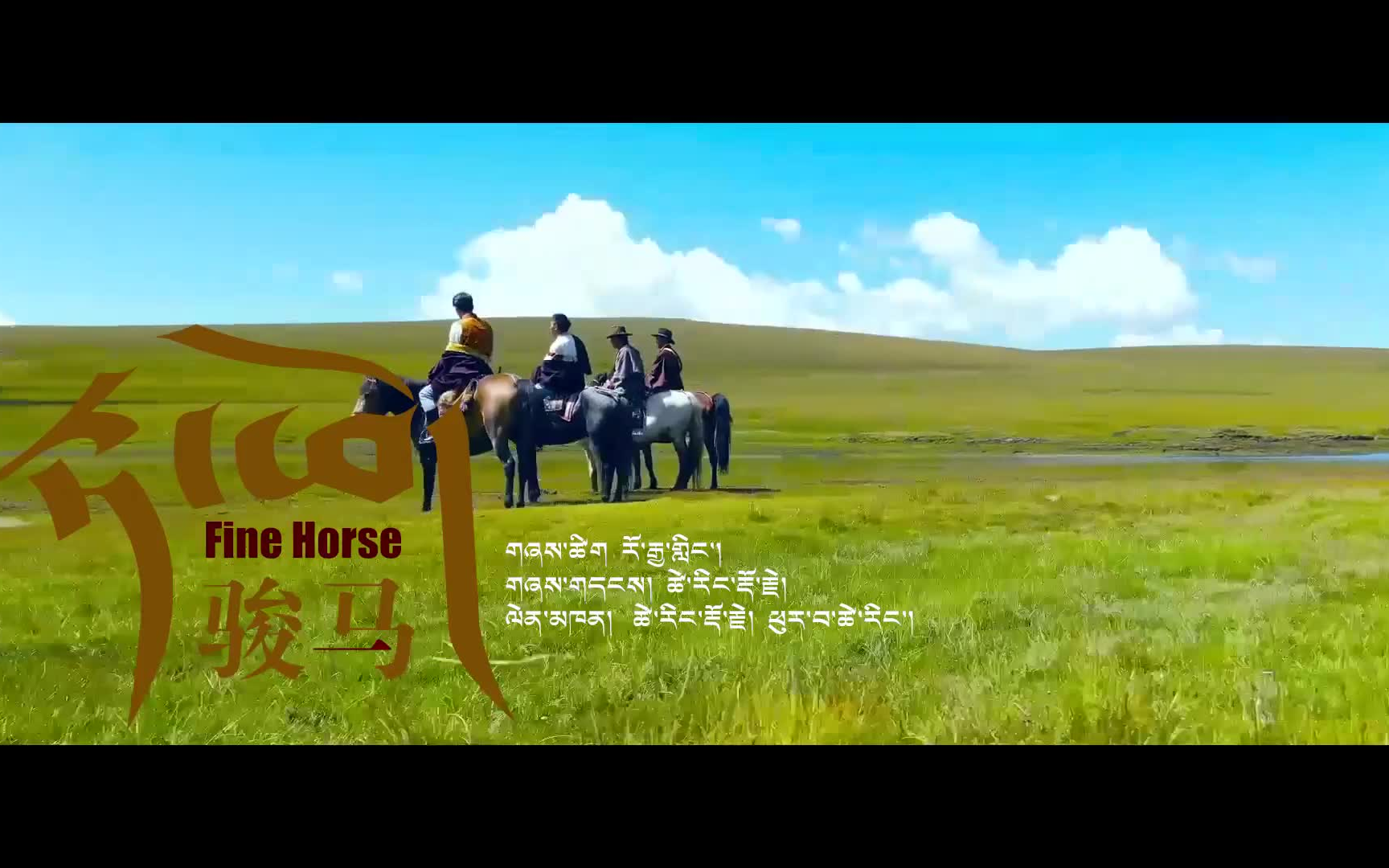 [图]【Fine Horse 骏马】才让多杰 普瓦才让