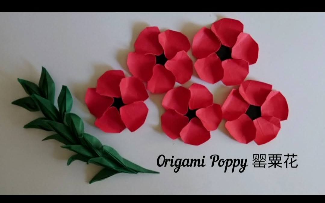 折纸罂粟花