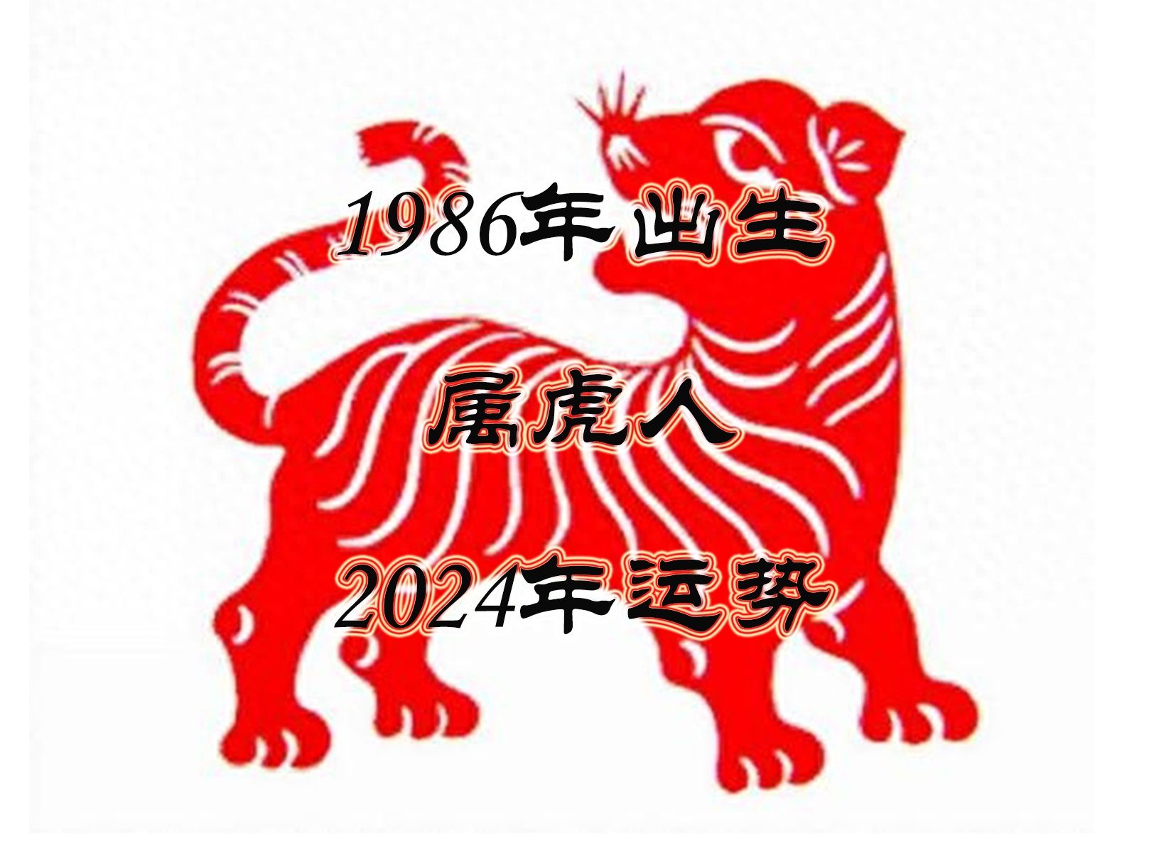 1986年出生的属虎人2024年运势