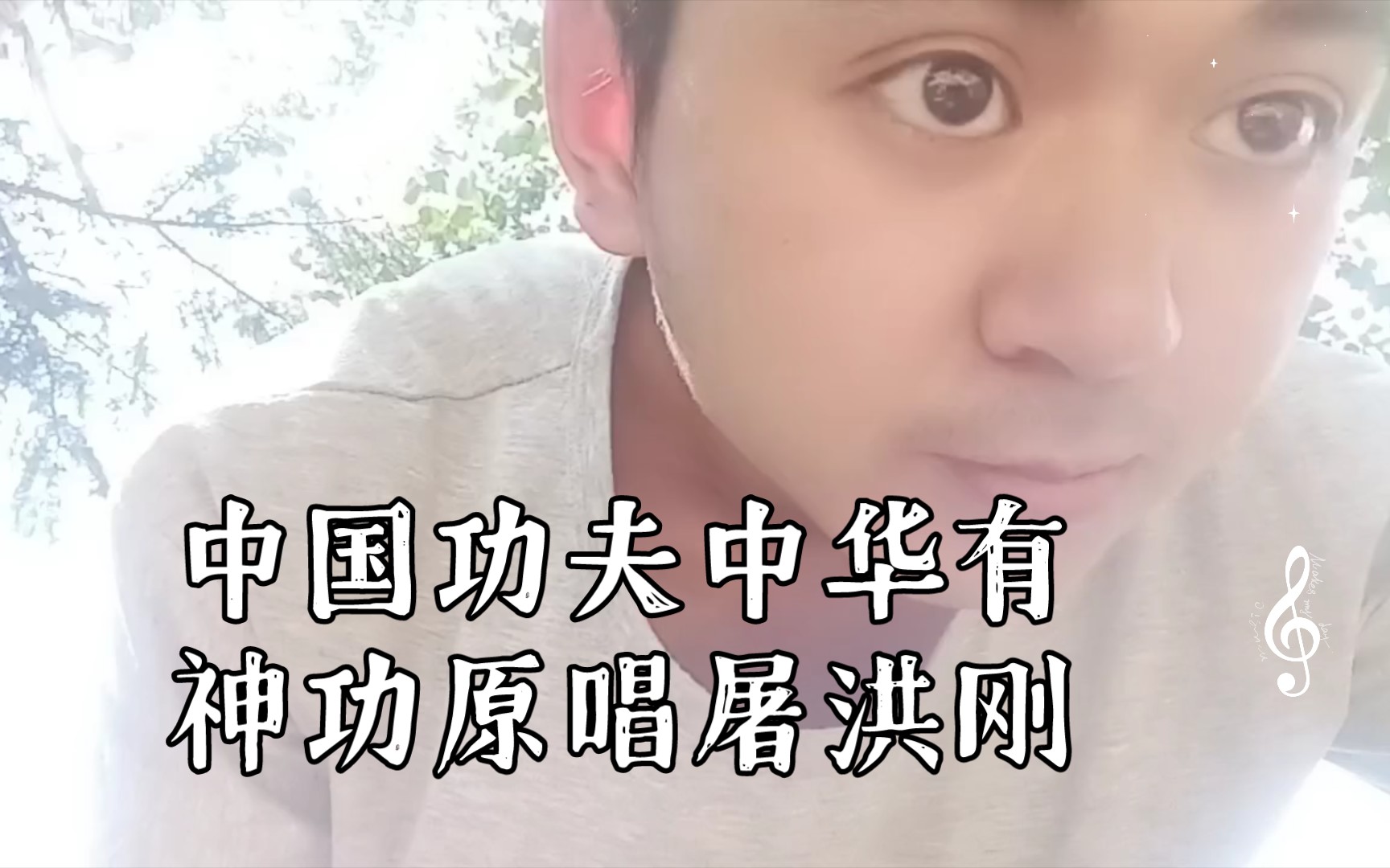 中国功夫中华有神功原唱屠洪刚哔哩哔哩bilibili