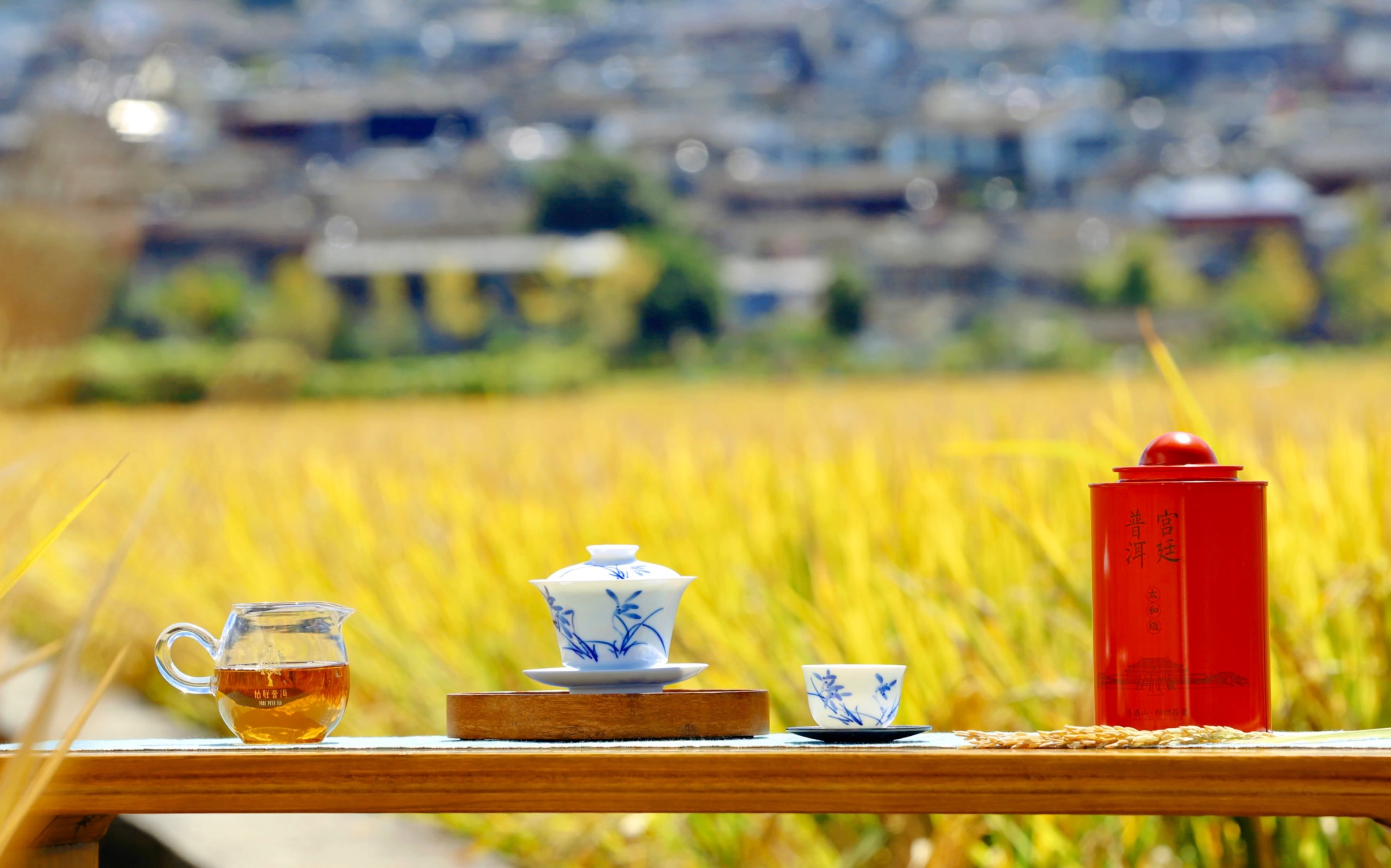 柏联普洱 向往的诗意田园生活 @和顺古镇