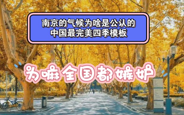 [图]南京的气候为啥是公认的中国最完美四季模板，为嘛全国都嫉妒？