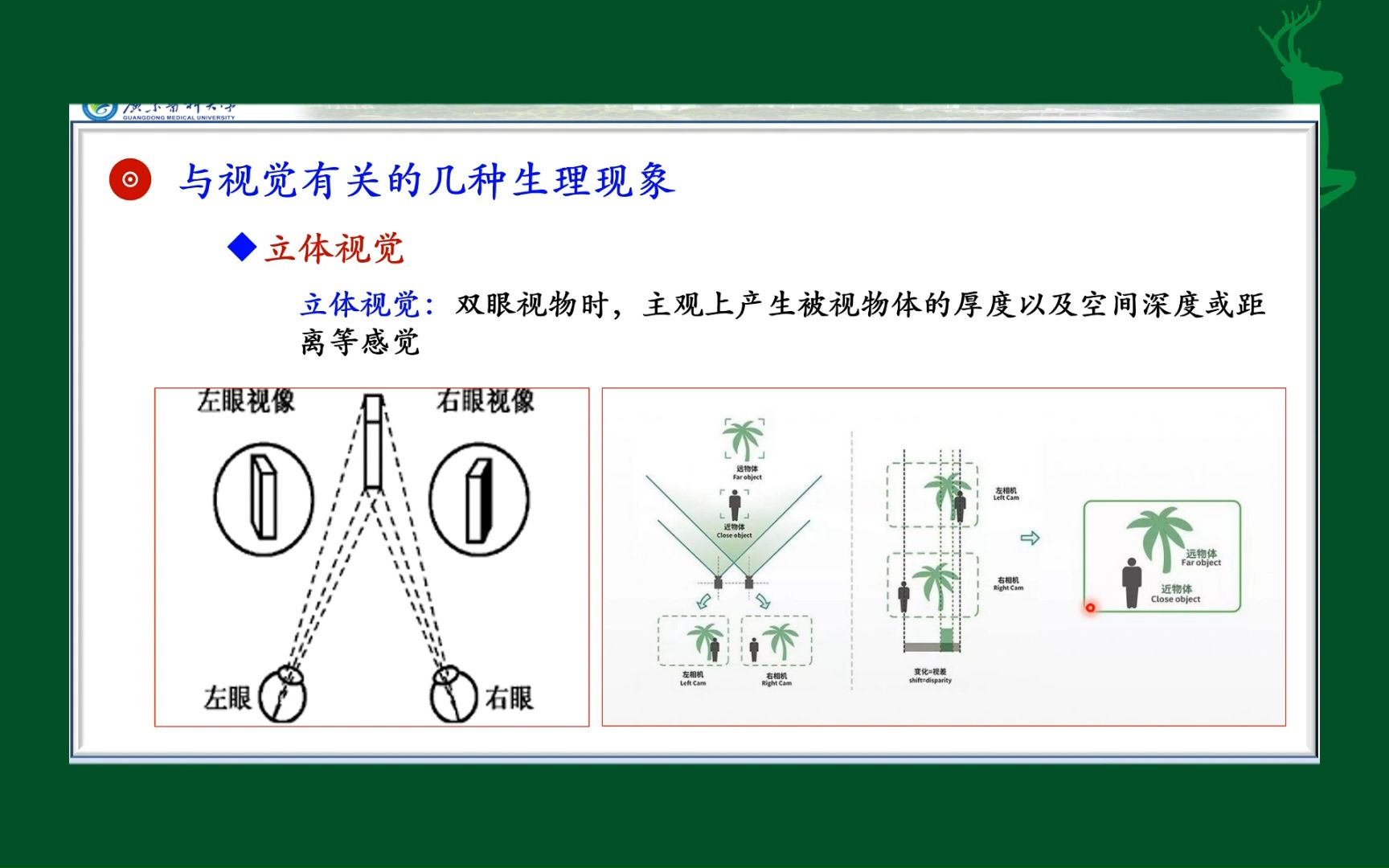 视觉后像形成原因