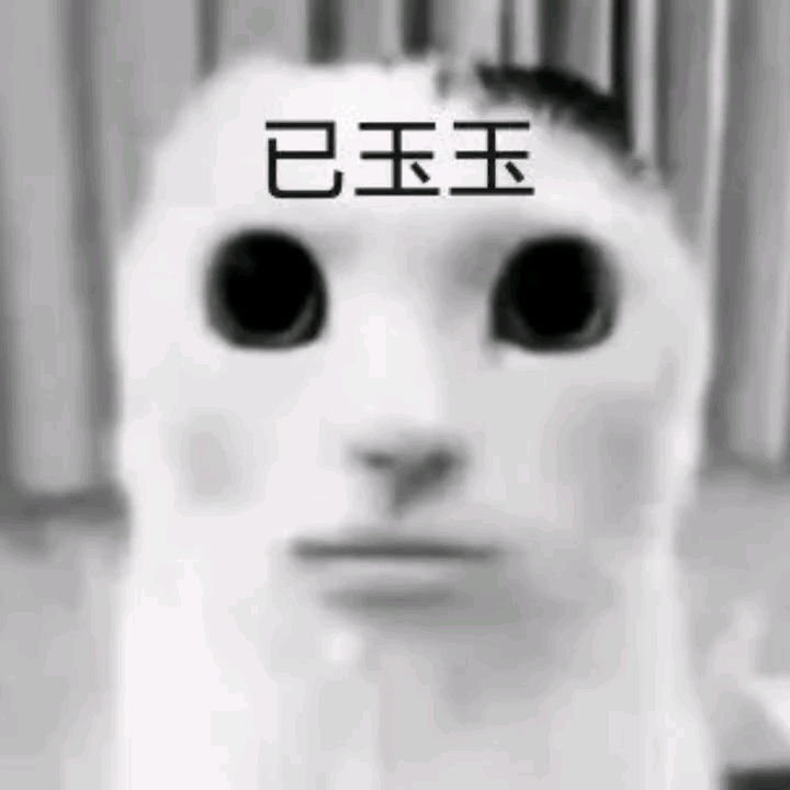 小猫表情包哔哩哔哩bilibili