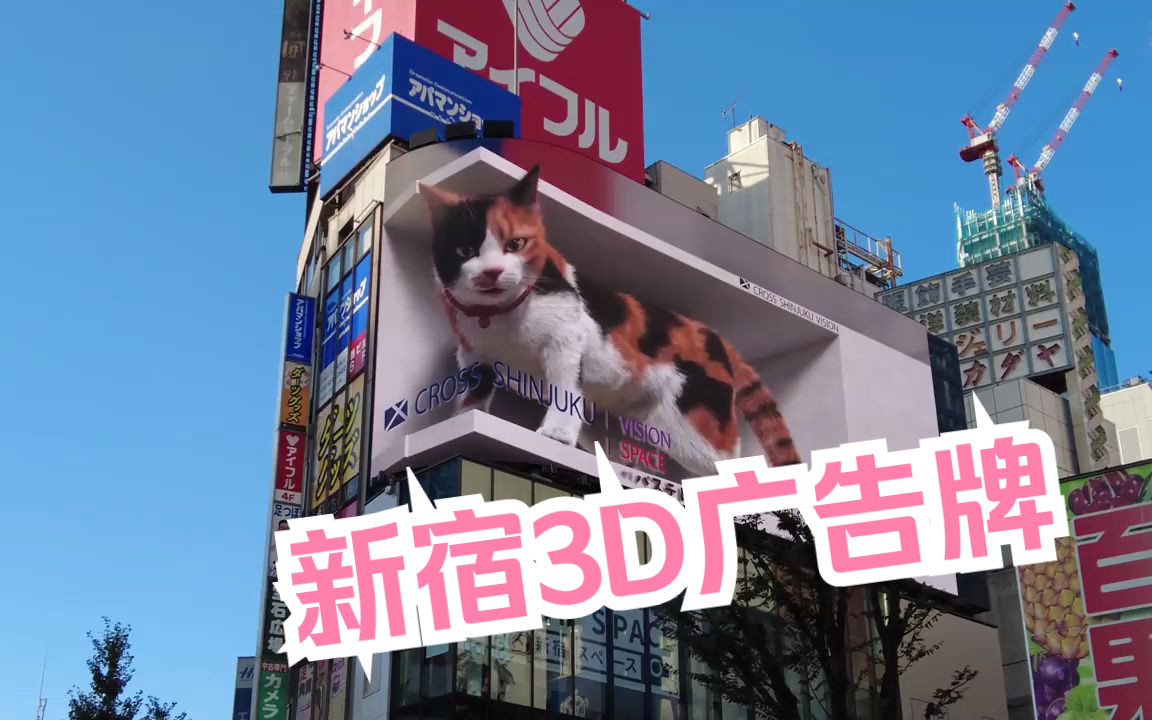 新宿街头的3d视觉广告牌(巨型猫猫和勇者斗恶龙)