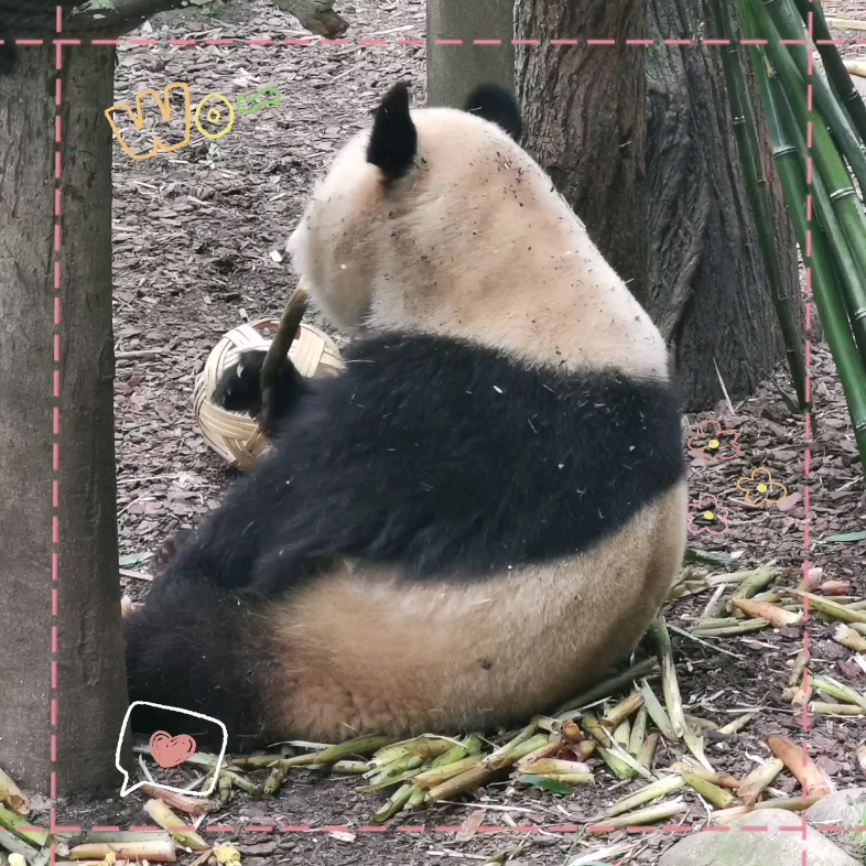 【一口氣吸禿十隻小貓咪】視頻加載中,速速查收驚喜!