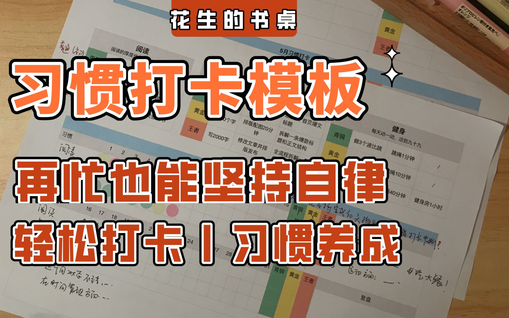 如何高效制定打卡计划?这套弹性打卡模板一定要码住!哔哩哔哩bilibili