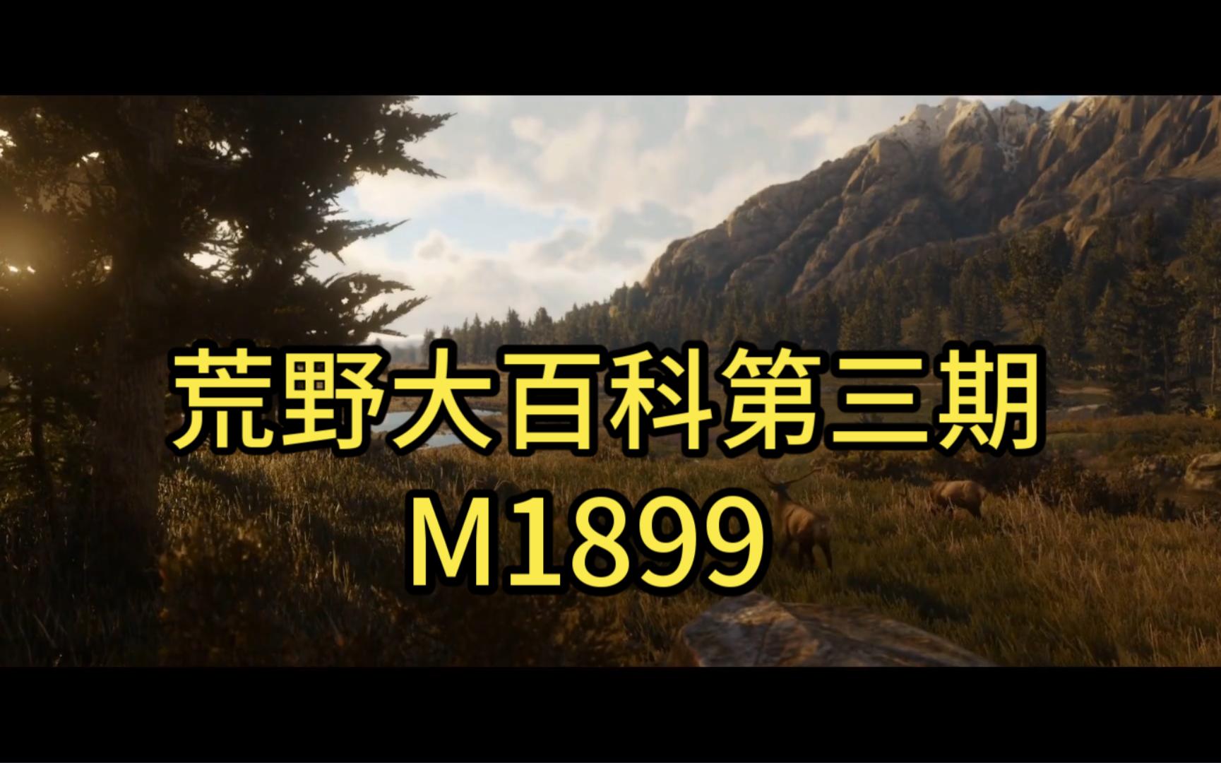 [图]荒野大百科第三期——m1899