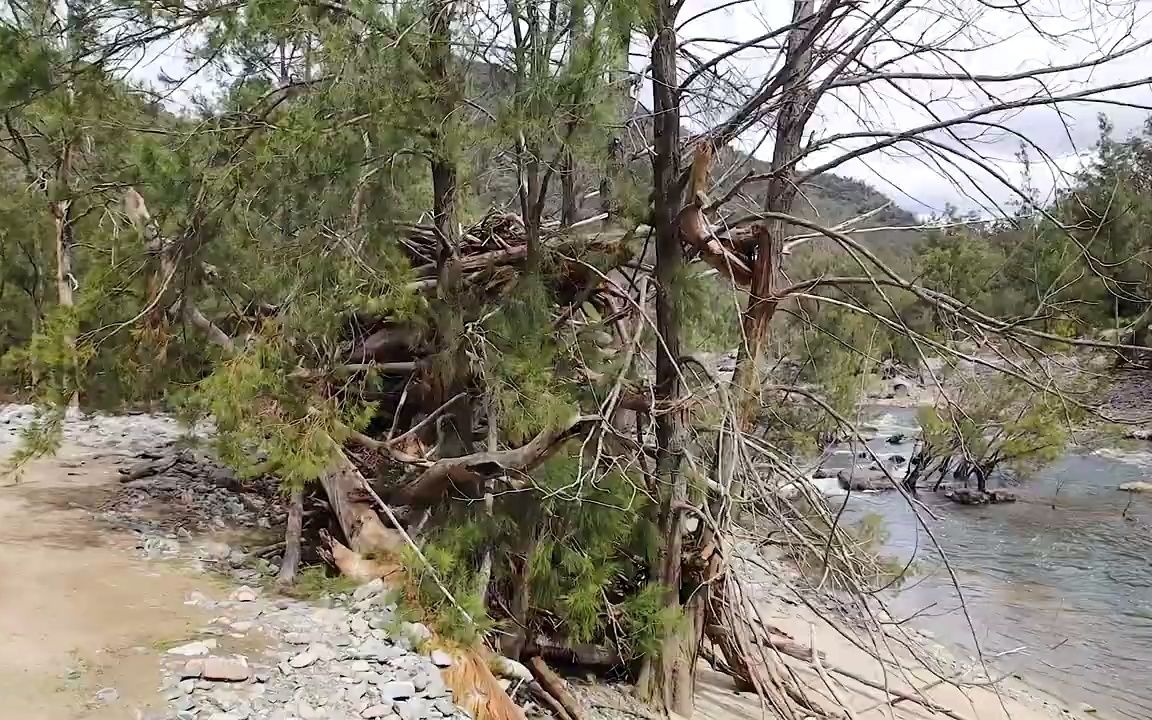 [图]独自在山上 野外露营钓鱼冒险??