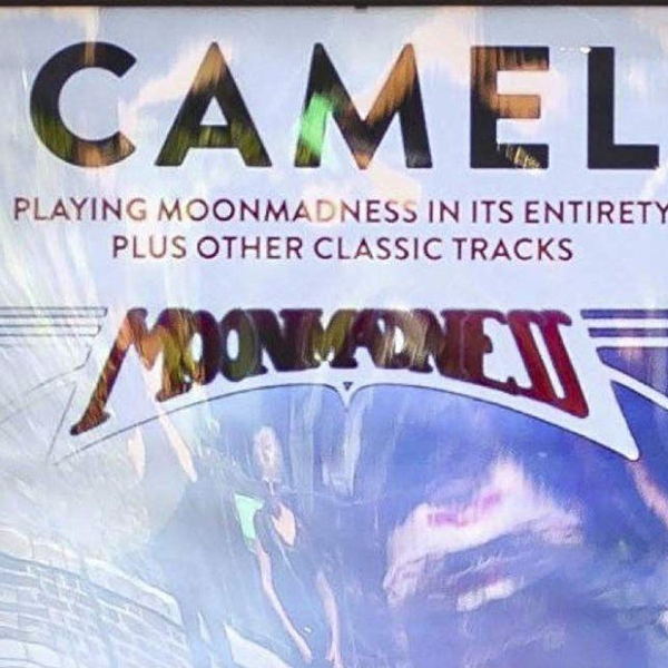 Camel - Live at Royal Albert Hall (2018)_哔哩哔哩_bilibili
