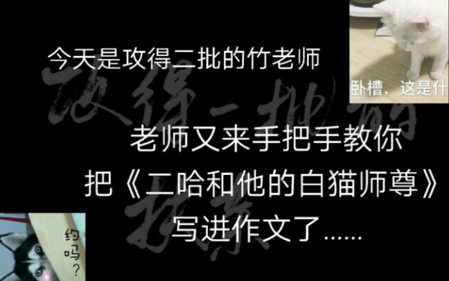 【扶茶】教把《二哈和他的白猫师尊》写进作文,经验之谈,此刻不看,更待何时(ⴍˆꄃ `툥“”哩哔哩bilibili