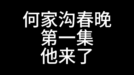 春晚还得看何家沟哔哩哔哩bilibili