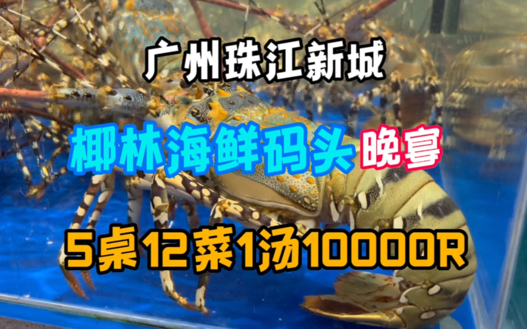 这家椰林海鲜码头出品有惊喜,家庭聚餐5桌12菜1汤10000R哔哩哔哩bilibili