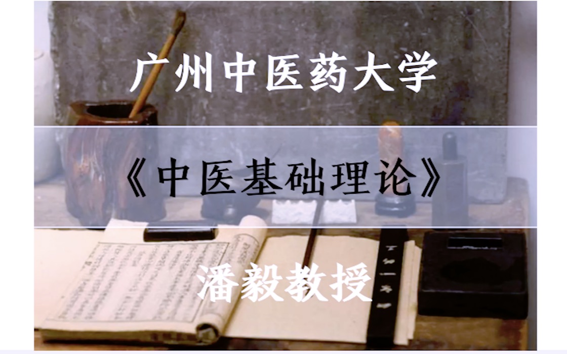 《中医基础理论》讲座「 123集全ⷤ𘊣€广州中医药大学潘毅教授哔哩哔哩bilibili