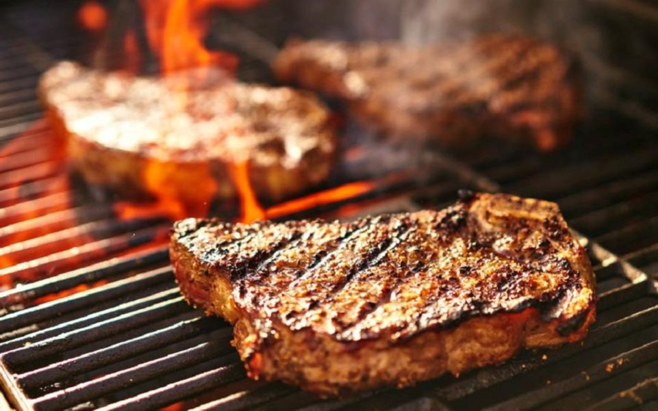 野外自制烧烤@西班牙【100%纯天然燃料 食料】美好周末的开启方法73