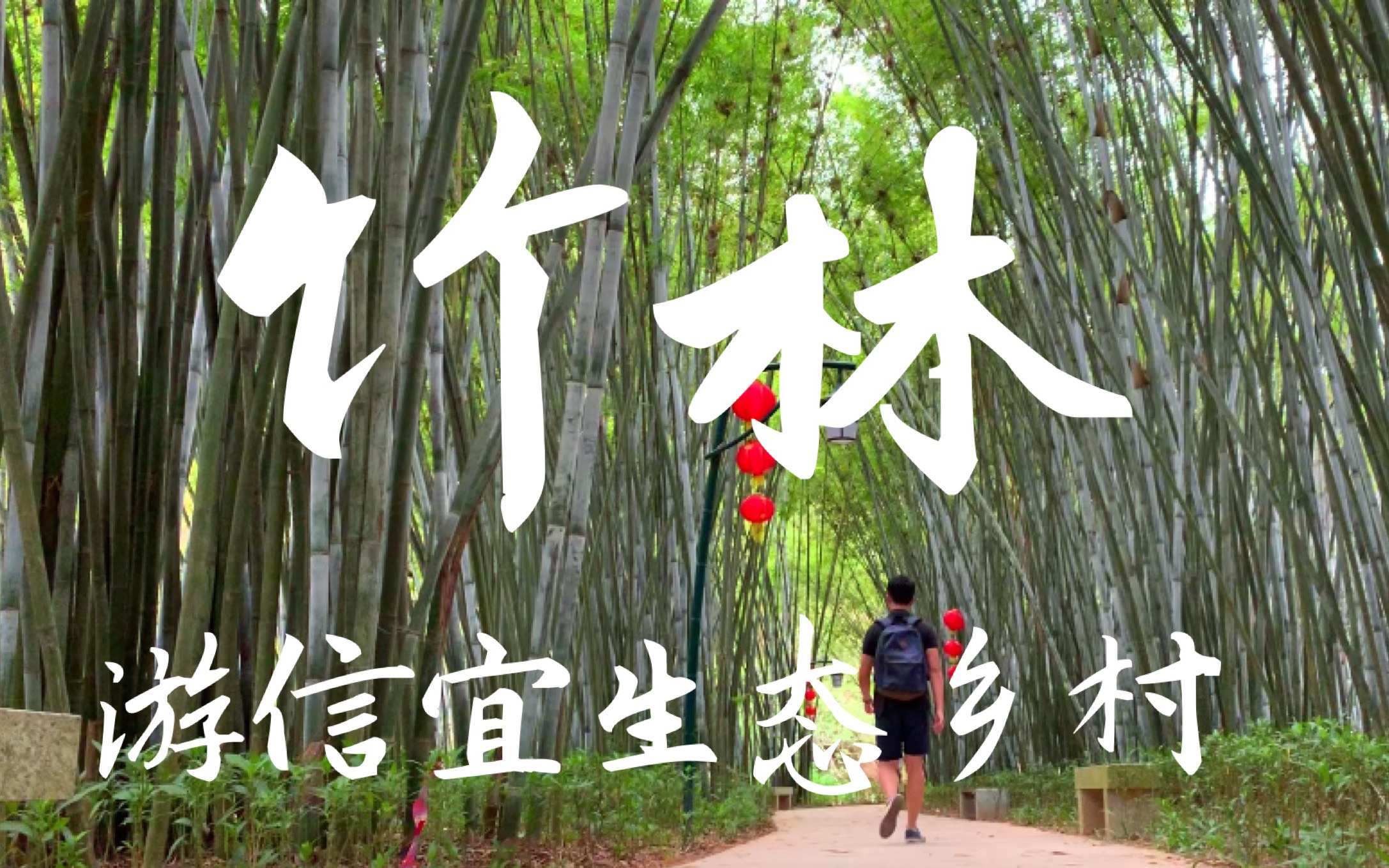 【信宜旺同竹林】信宜大型竹海生态村就在这里|回归宁静,返璞归真