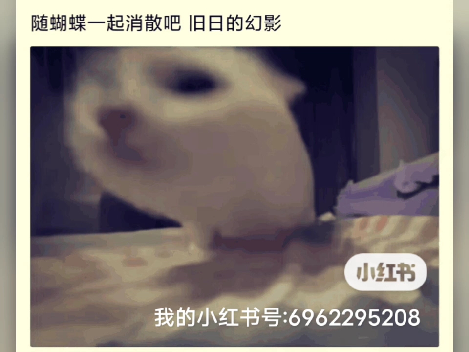 【鹏程万里12345】更新啦,赶紧来围观吧!