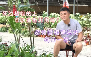 Download Video: 用过的土可以高锰酸钾消毒后再用吗？老花医相声养花每日一答