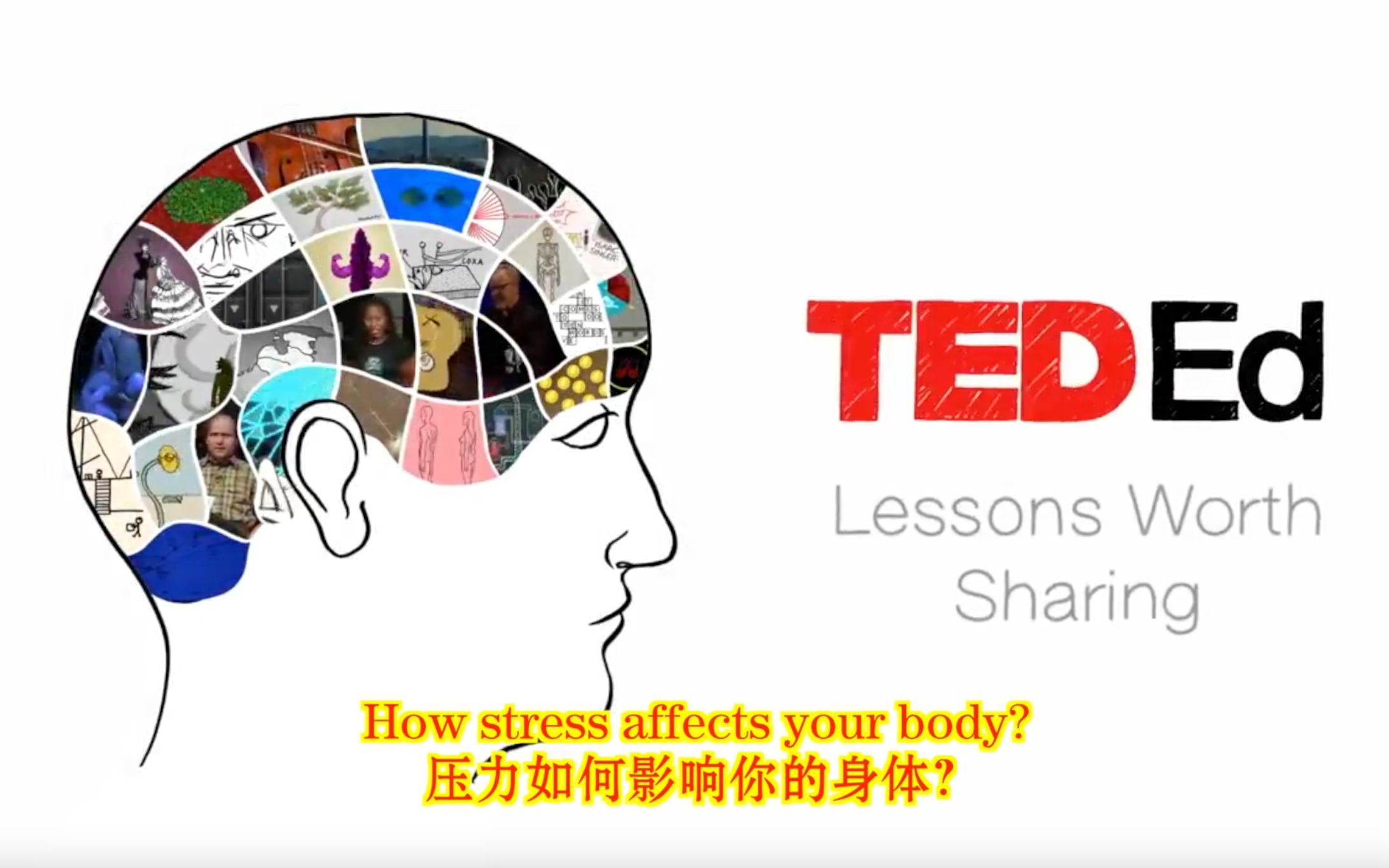 [图]压力如何影响身体/How stress affect your body?