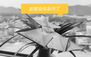 Download Video: J-20:脸都给你丢尽了