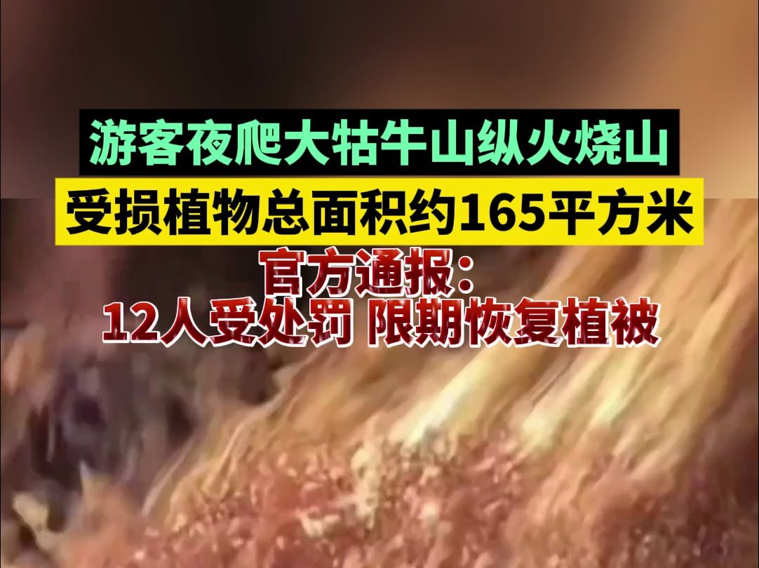 游客夜爬大牯牛山纵火烧山,受损植物总面积约165平方米,官方通报:12人受处罚,限期恢复植被哔哩哔哩bilibili