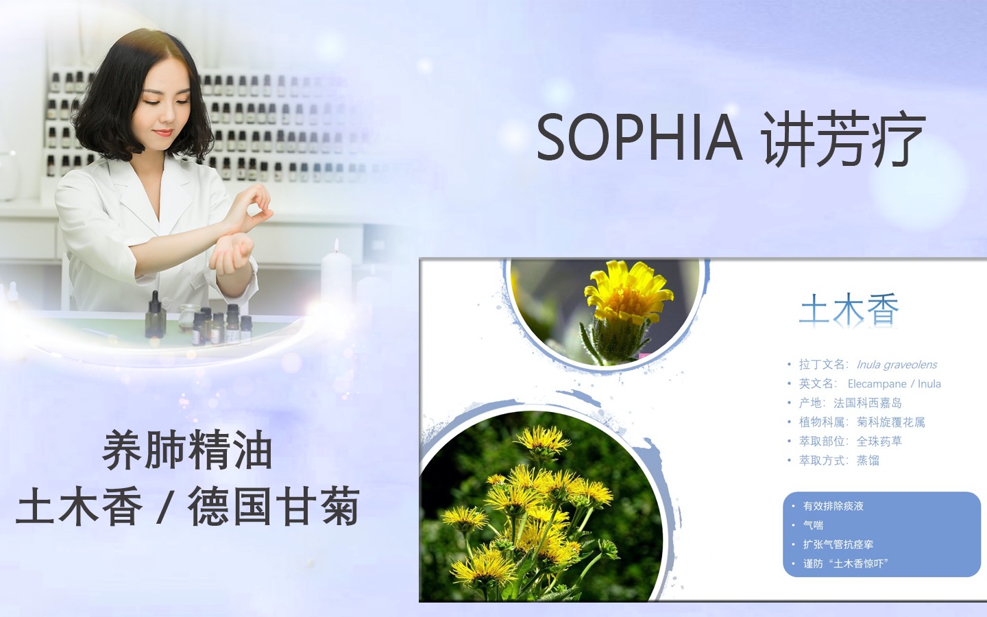 【芳灸儿】导师 SOPHIA讲芳疗34:养肺精油土木香/德国甘菊哔哩哔哩bilibili