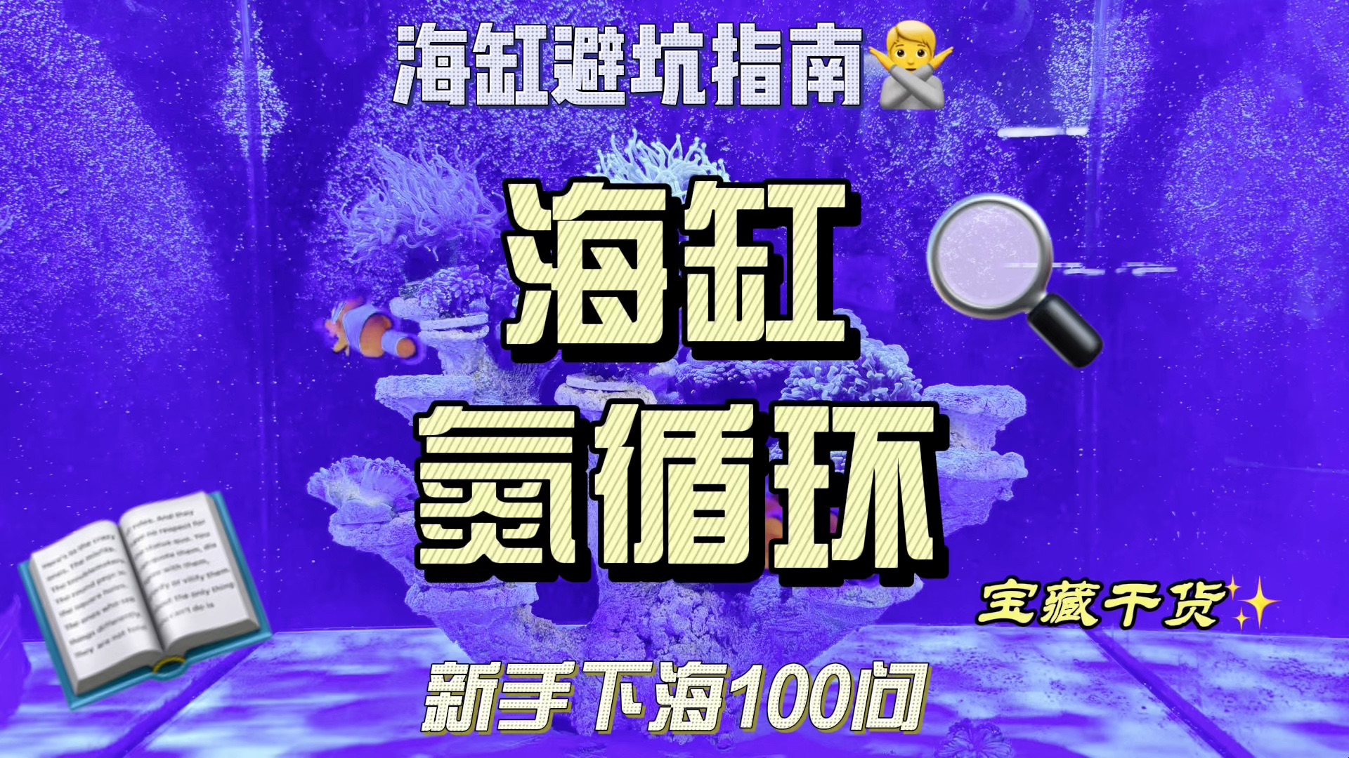 海缸中的氮循环是什么?今天聊一聊海缸运行基本原理哔哩哔哩bilibili