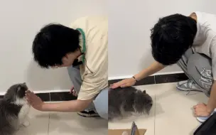 Tải video: 虾马与你签订 猫猫契约！