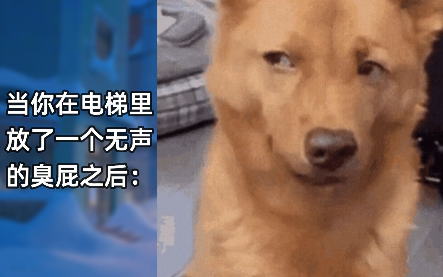 【弔图一堆】那些让人笑到头掉的沙雕GIF动图合集(≧∇≦)/ 第150期_哔哩哔哩_bilibili