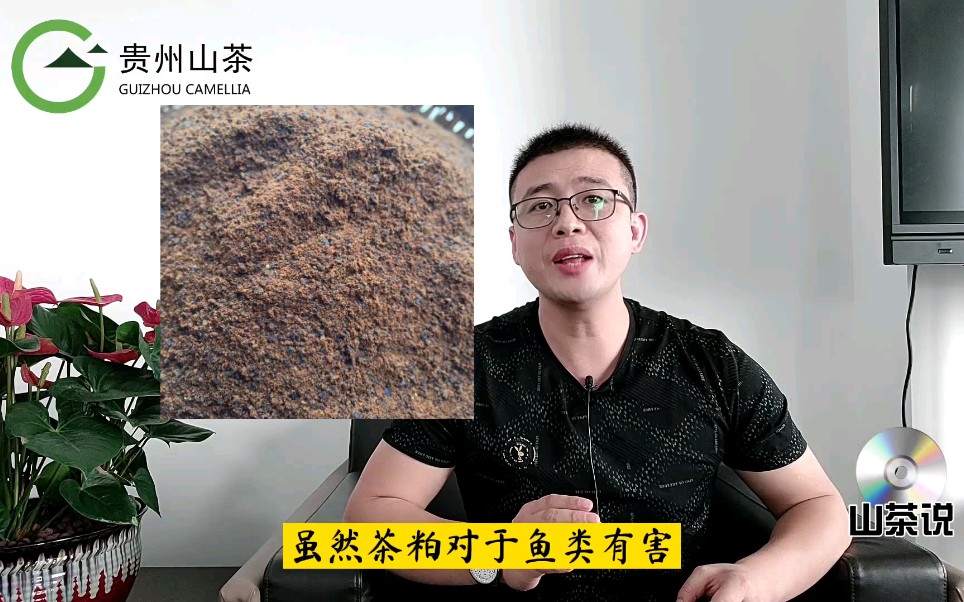 油茶饼的功效和作用哔哩哔哩bilibili