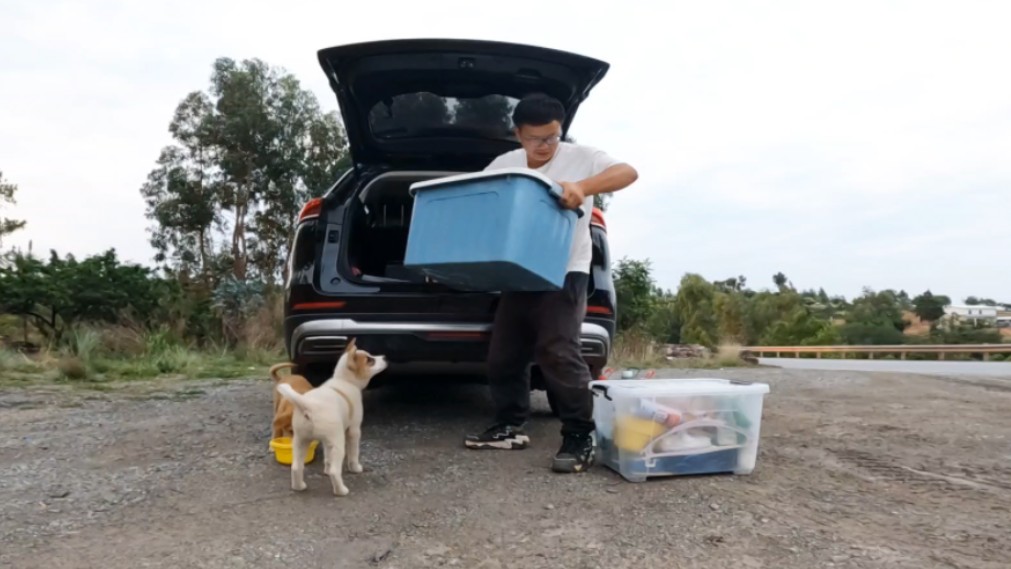 带两只狗自驾游,在荒山野岭过夜,晚上连鬼都不来这