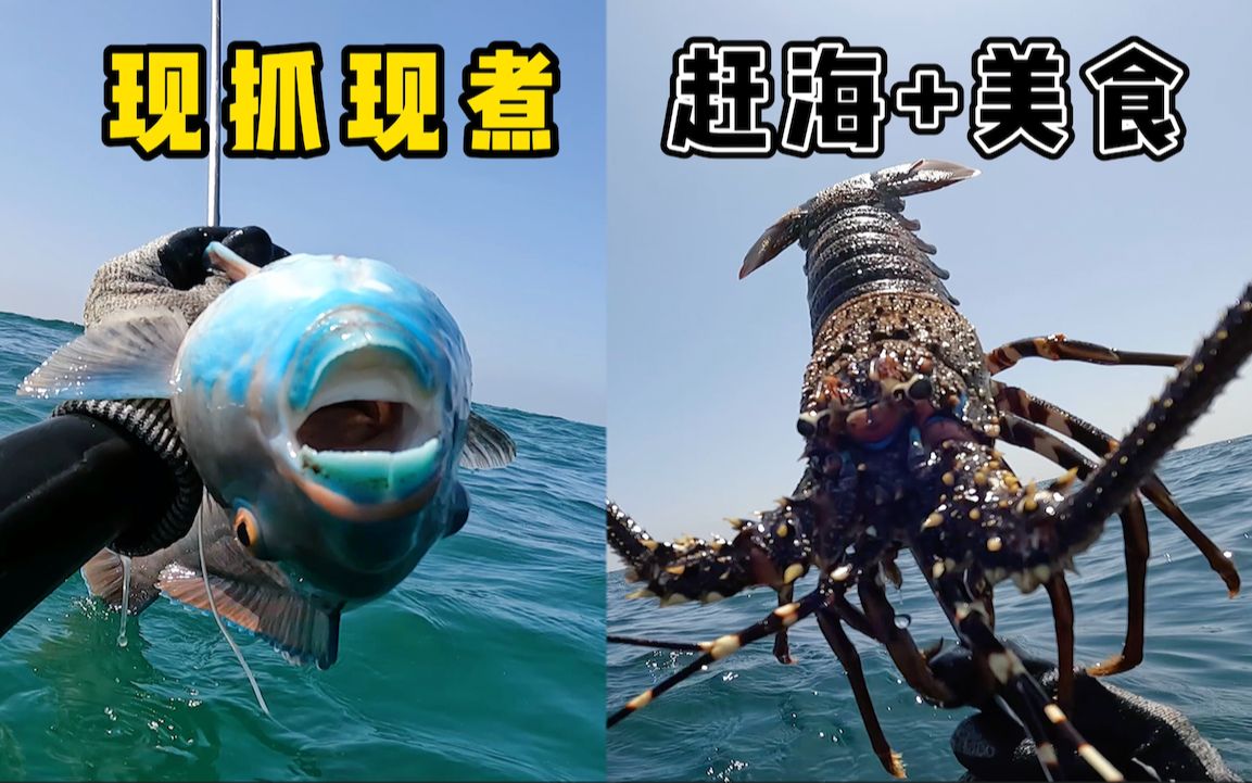 [图]《环球探海记》阿曼 第47天：今天潜水抓龙虾时，竟然被巨型海鳗吓得全身发抖