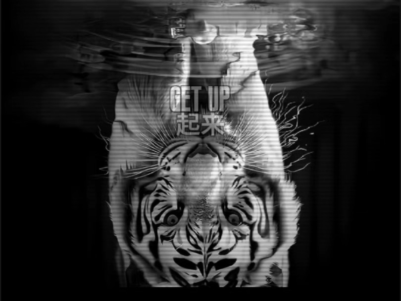 【猫虎】73猫与虎的双重身份!闪电般震撼人心!雷霆万钧!