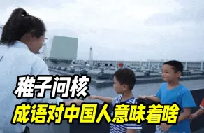 Télécharger la video: “稚子问核”和“航天插旗”是啥意思？成语对中国人来说意味着啥