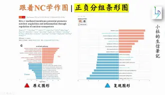 Скачать видео: 跟着NC学作图 | 正负分组条形图