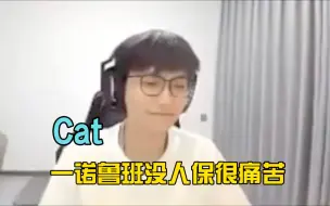 Download Video: Cat直言一诺小鲁班就算很痛苦也得用来吸引火力的，人已老实求放过