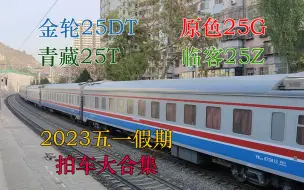 Descargar video: 【原色25G 金轮25DT 西子25Z】2023五一陇海铁路兰州段K1731+490 摄铁大合集