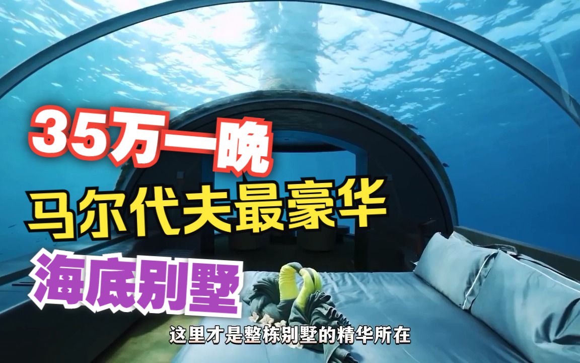 入住35万一晚的马尔代夫海底酒店别墅套房,沉浸式度假哔哩哔哩bilibili