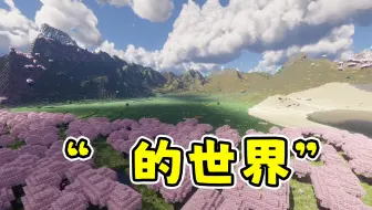 我的世界不卡了，但是我好像有点卡了…