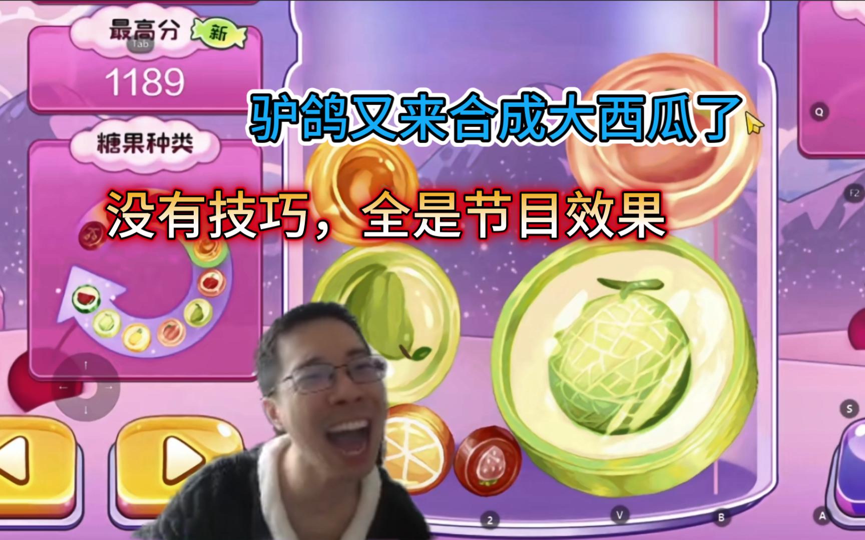 【驴鸽#381】驴鸽大西瓜3.